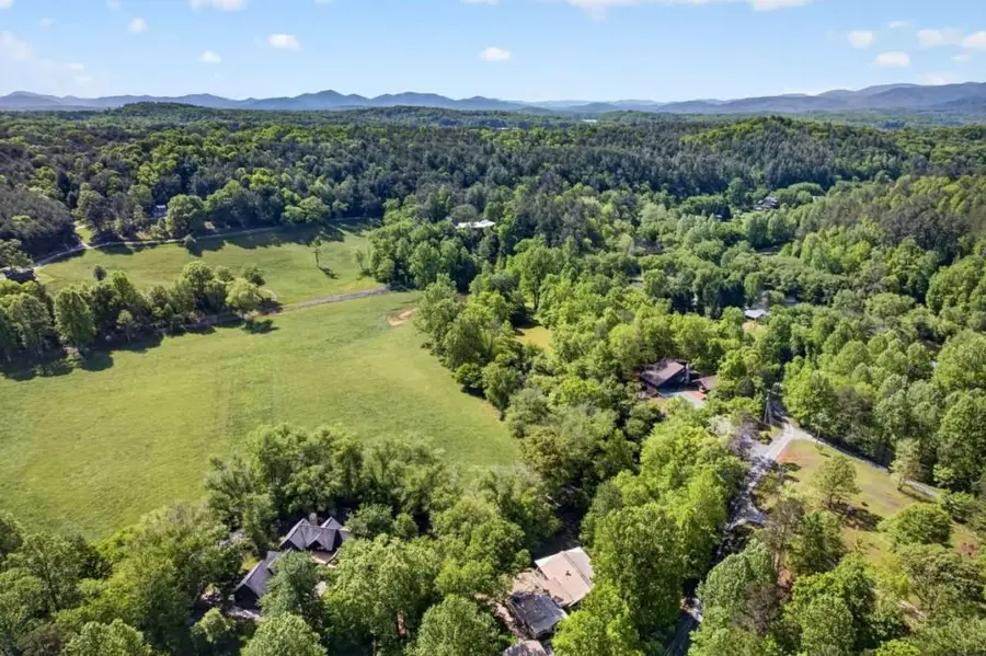 401 Mountain Rivers Road, Mineral Bluff, GA 30559 - #2