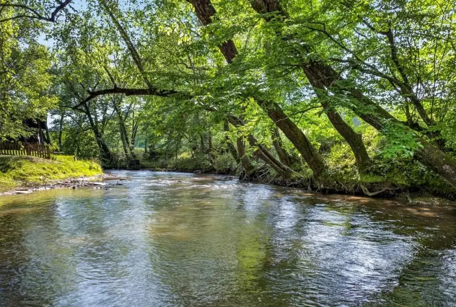 401 Mountain Rivers Road, Mineral Bluff, GA 30559 - #3