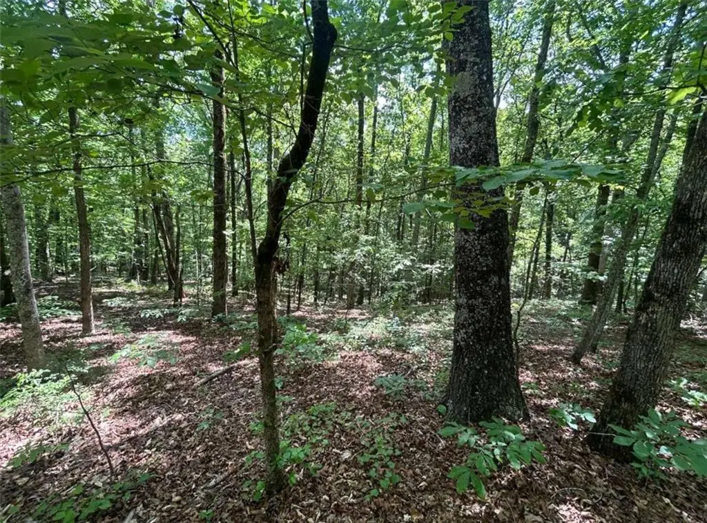0 Fouts Mill Rd, Douglasville, GA 30135 - #1