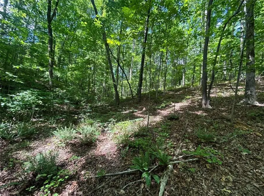 0 Fouts Mill Rd, Douglasville, GA 30135 - #2