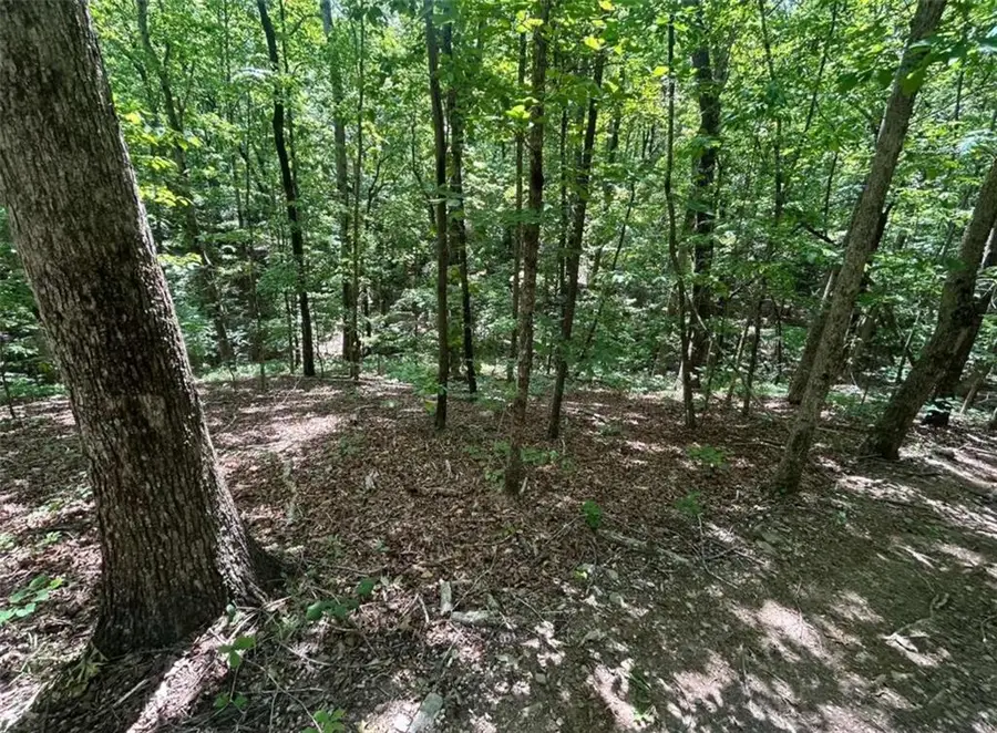 0 Fouts Mill Rd, Douglasville, GA 30135 - #3