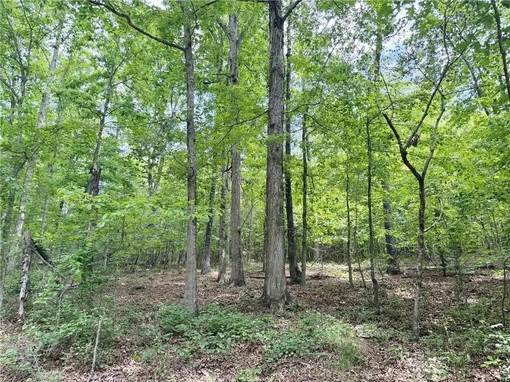 377 W Oak Grove Road Nw, Adairsville, GA 30103 - #1