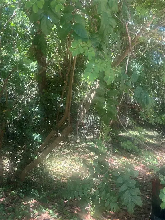 0 Magnolia, Mcintyre, GA 31054