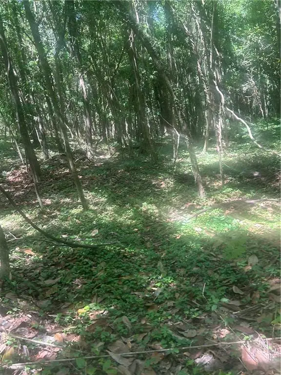 0 Magnolia, McIntyre, GA 31054 - #2