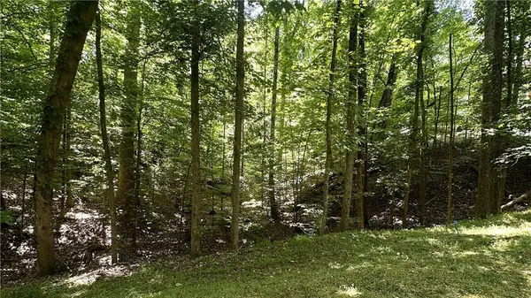 3641 Frederica Road, Berkeley Lake, GA 30096
