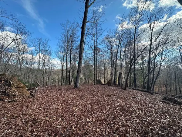 200 Mincey Acres Drive, Murrayville, GA 30564