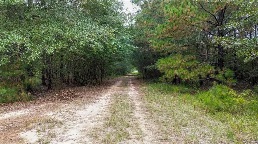 0 Willow Creek Drive, Oglethorpe, GA 31068 - #3