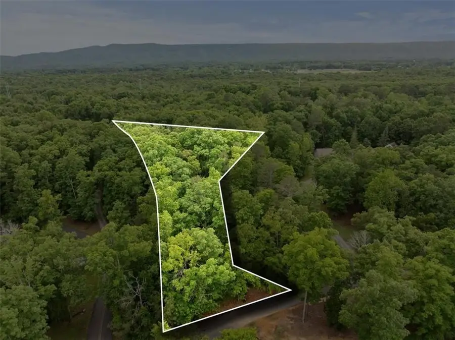396 Russell Hill Estates Drive Nw, Sugar Valley, GA 30746 - #2