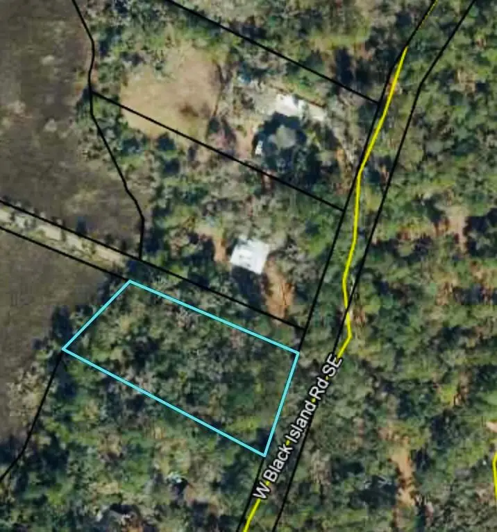 0000 W Black Island Road Se, Darien, GA 31305 - #2
