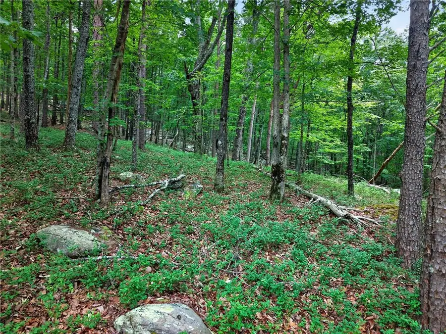 0 Ridgeside Court, Jasper, GA 30143 - #3