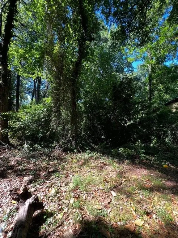 0 Dalton Street Se, Atlanta, GA 30315