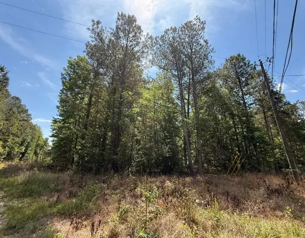 467 N Raburn Road, Bremen, GA 30110