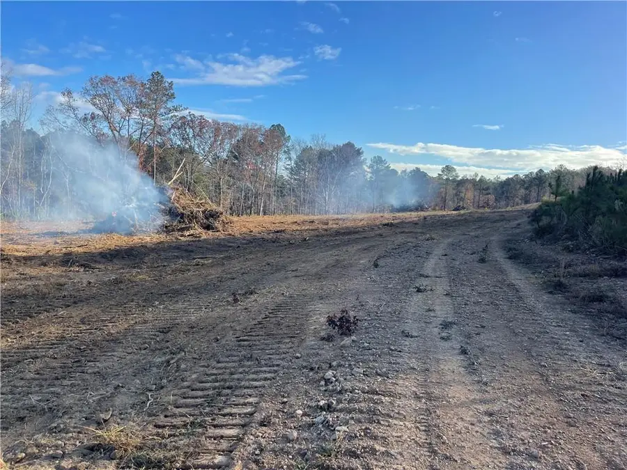 0A Johnson Lake Road #0a, Cedartown, GA 30125 - #2