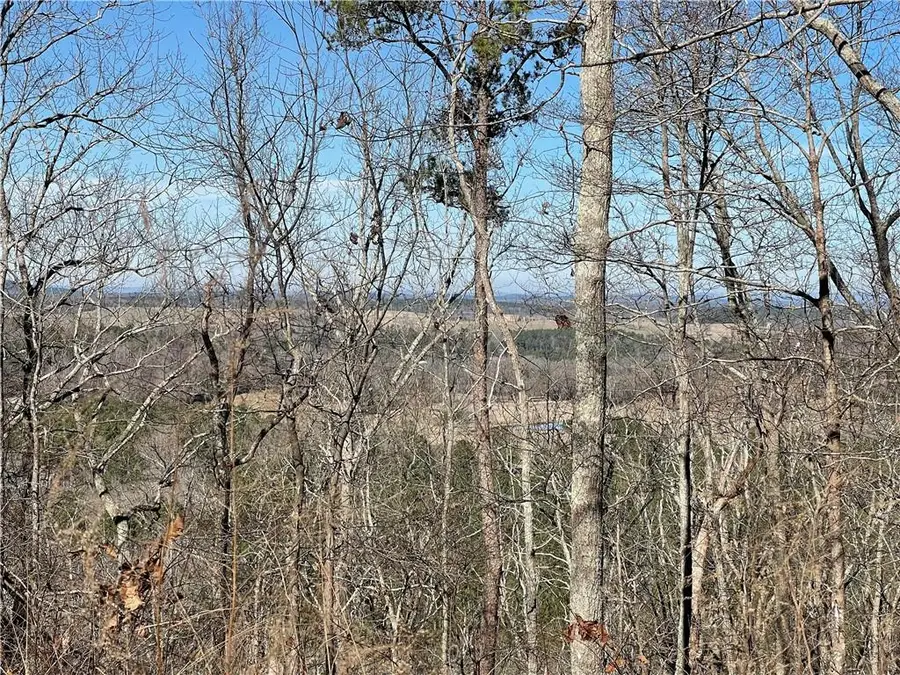 0A Johnson Lake Road #0a, Cedartown, GA 30125 - #3