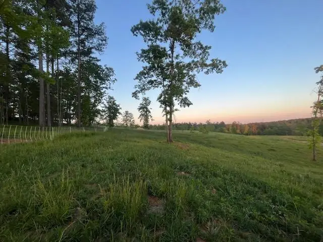 6480 Highway 52 W, Dahlonega, GA 30533 - #3
