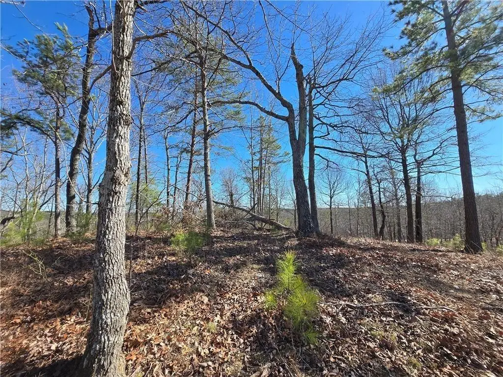 0 Brushy Mountain Road, Rockmart, GA 30153 - #1
