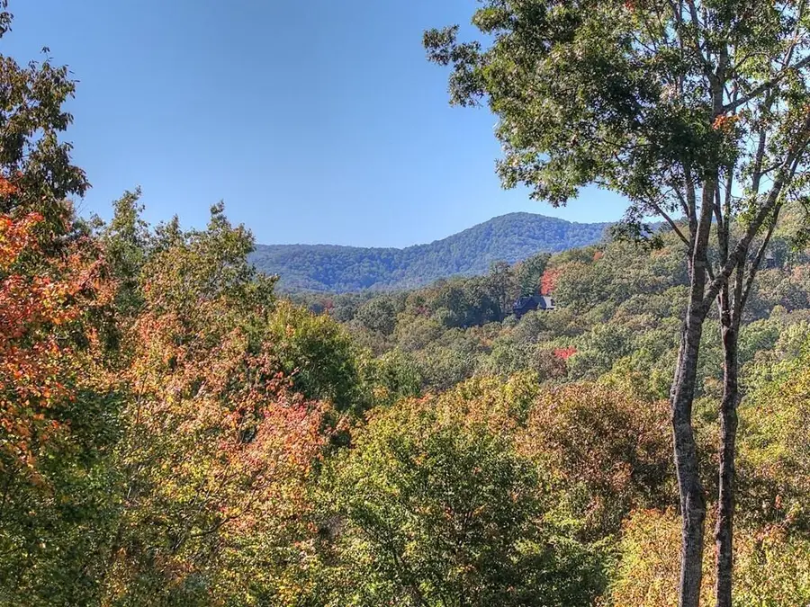240 Lower Prince Mountain Road, Cherry Log, GA 30522 - #2