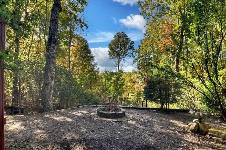 240 Lower Prince Mountain Road, Cherry Log, GA 30522 - #3