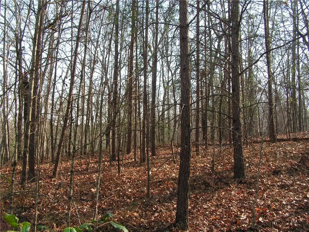 0 Mount Pleasant Church Road, Cleveland, GA 30528 - #1