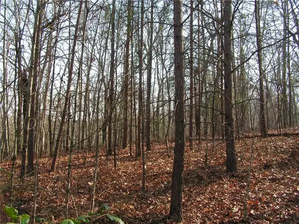 0 Mount Pleasant Church Road, Cleveland, GA 30528
