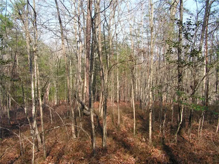0 Mount Pleasant Church Road, Cleveland, GA 30528 - #3