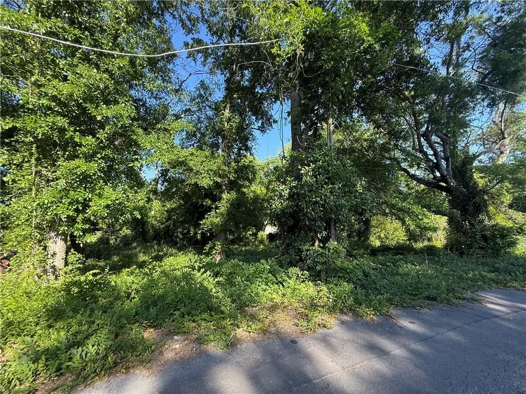 0 Hopewell Street, Rome, GA 30161 - #1
