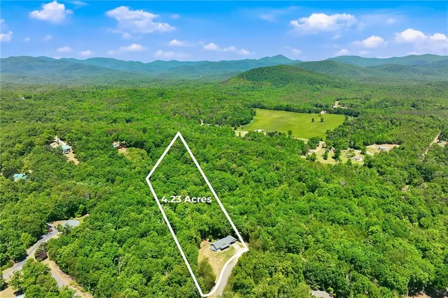 603 Gold Flume Way, Cleveland, GA 30528 - #2