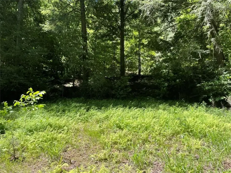 0 Sapulpa Court, Ellijay, GA 30540 - #3