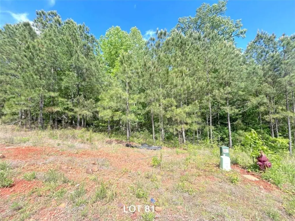 208 Oakdale Way, Temple, GA 30179 - #1