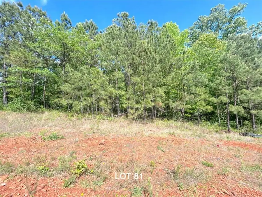 208 Oakdale Way, Temple, GA 30179 - #2