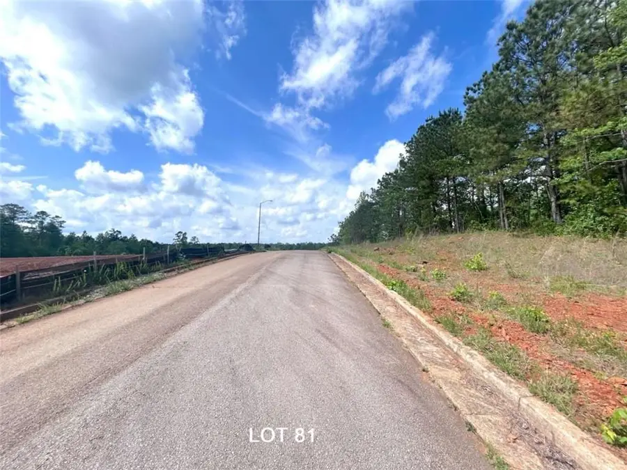 208 Oakdale Way, Temple, GA 30179 - #3