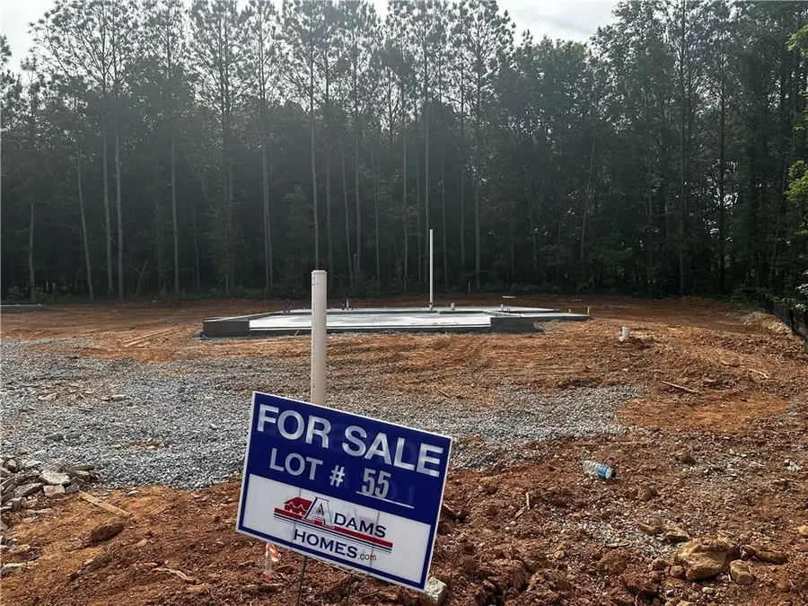 215 Laney Drive, Carrollton, GA 30117 - #2