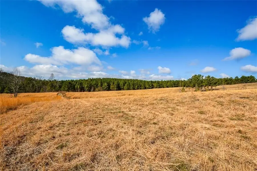119 Inland Drive 3 Acres, Talking Rock, GA 30175 - #2