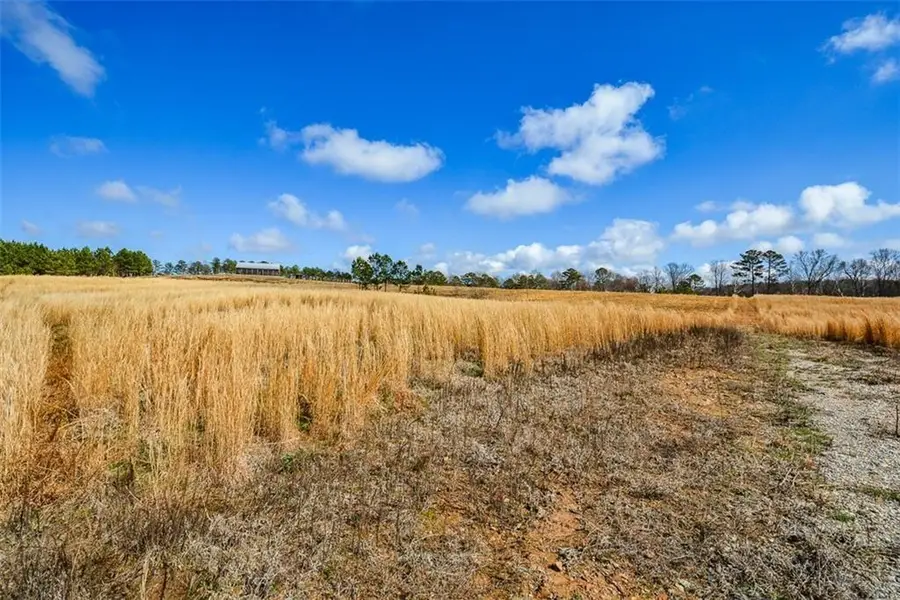 119 Inland Drive 3 Acres, Talking Rock, GA 30175 - #3