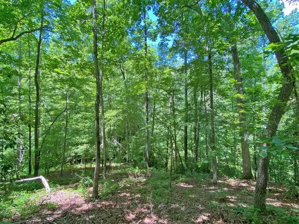 0 Hickory Nut Trail, Dahlonega, GA 30533