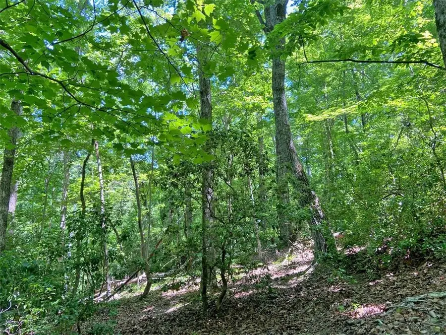 0 Hickory Nut Trail, Dahlonega, GA 30533 - #2