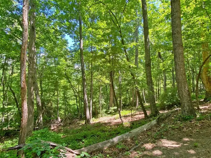 0 Hickory Nut Trail, Dahlonega, GA 30533 - #3
