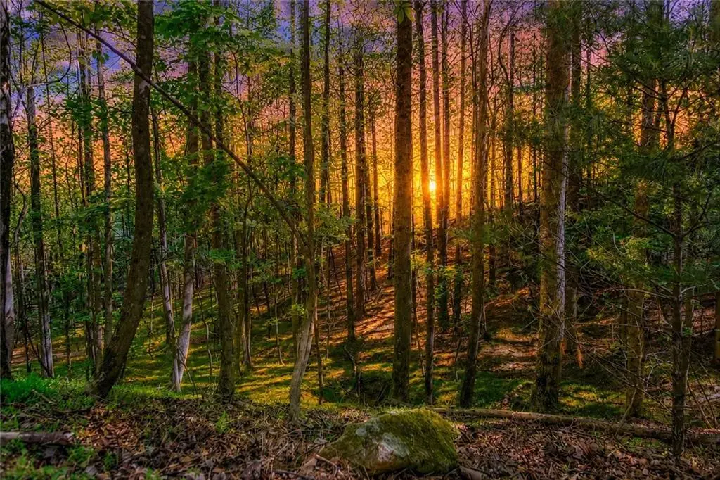 Lot 26 Estates Drive, Ellijay, GA 30536 - #1