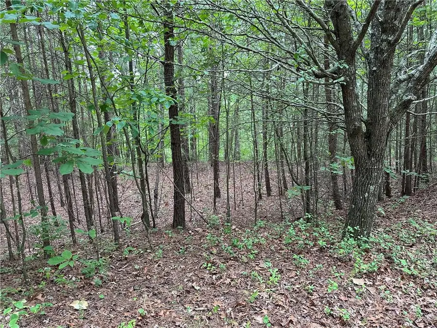 585 Galaxy Way, Ranger, GA 30734 - #3