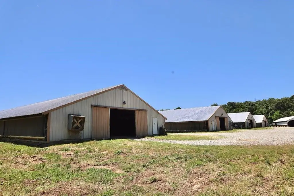 1600 Will Evans Road, Chatsworth, GA 30705 - #1