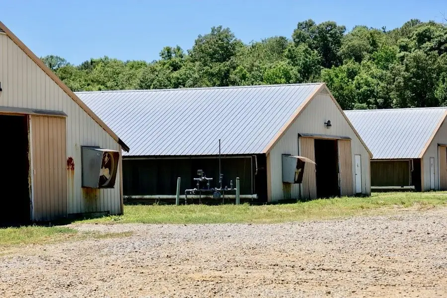 1600 Will Evans Road, Chatsworth, GA 30705 - #2