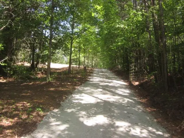 00 Hwy 136 W, Talking Rock, GA 30175 - #3