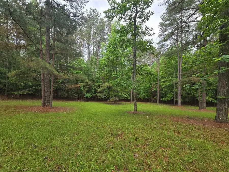 0 Sweetwater Lane, Blairsville, GA 30512 - #2