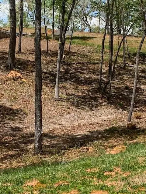 LOT #6 Lake Top, Ellijay, GA 30540 - #2