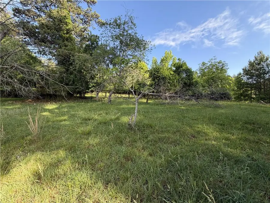 6550 Old Garrett Road, Buford, GA 30518 - #3
