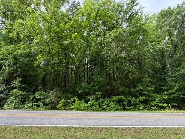 0 Hawkins Academy Road, Social Circle, GA 30025 - #1