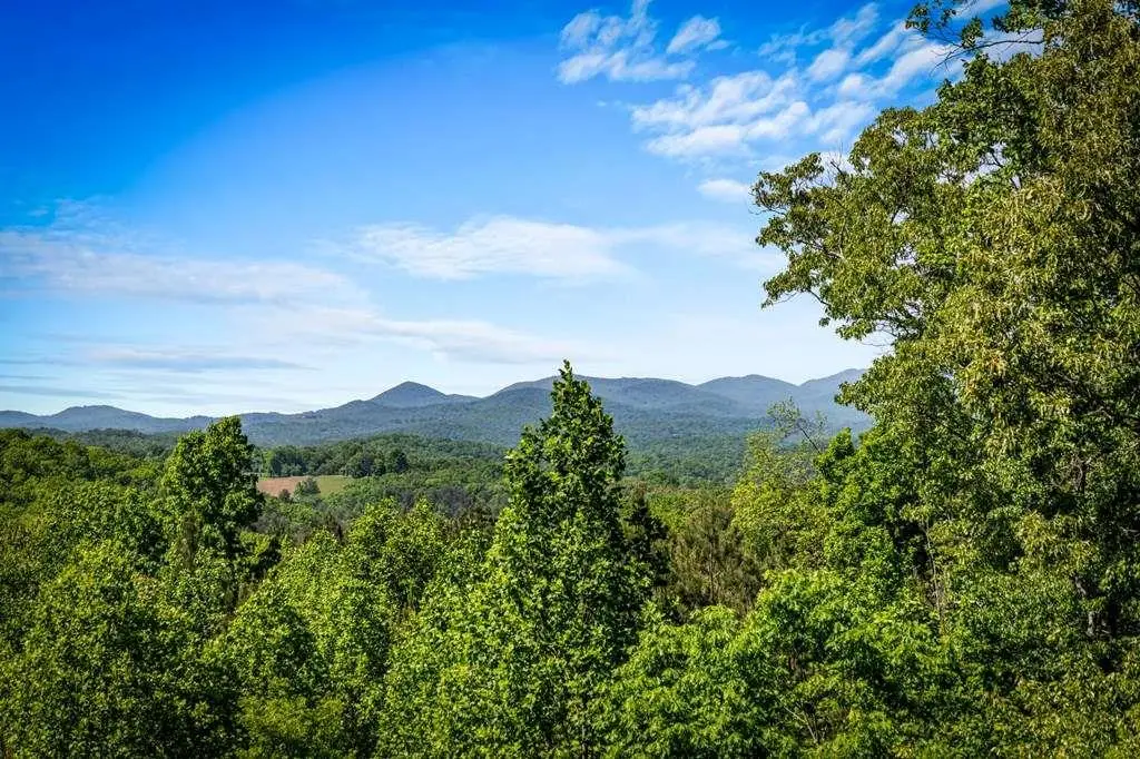 479 Big Timber Road, Mineral Bluff, GA 30559 - #1