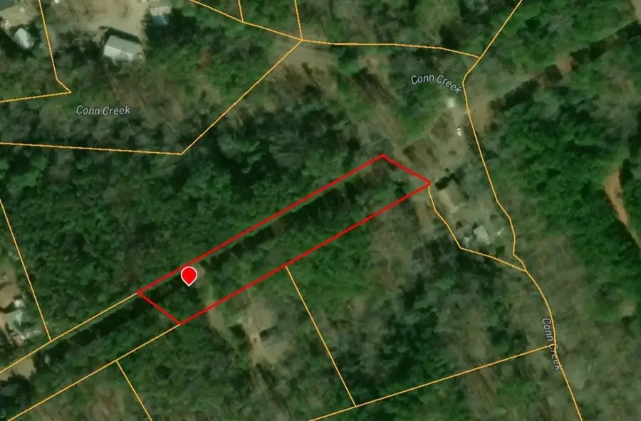 1105 Reavis Road, Ball Ground, GA 30107 - #2