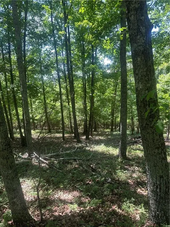 0 Owl Ridge Way, Jasper, GA 30143 - #1