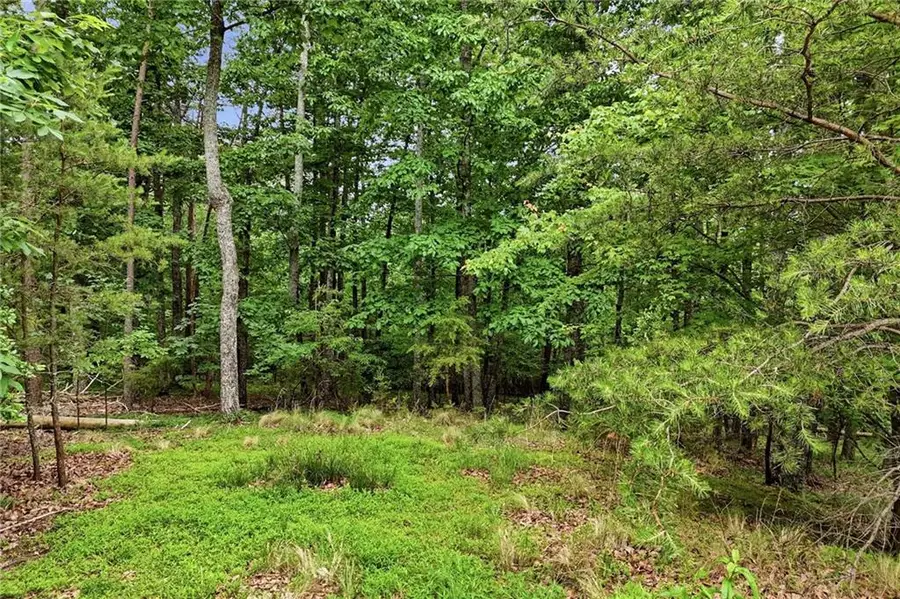 0 Owl Ridge Way, Jasper, GA 30143 - #2